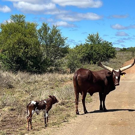 Tzamenkomst River Lodge Colesberg Eksteriør billede